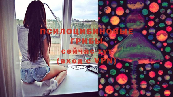 молекула духа Волоколамск