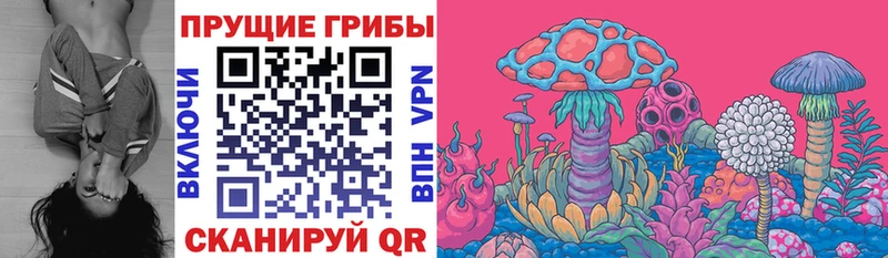 Псилоцибиновые грибы мицелий  Ува 